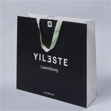 Custom Printed Logo Clothes Shopping Paper Bag