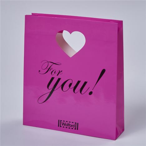Professional Customized Paper Shopping Bag for Packaging